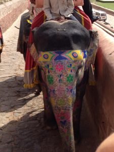 viaggi India Jaipur Stefano Colicchio travel blogger