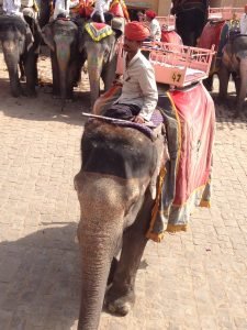viaggi India Jaipur Stefano Colicchio travel blogger
